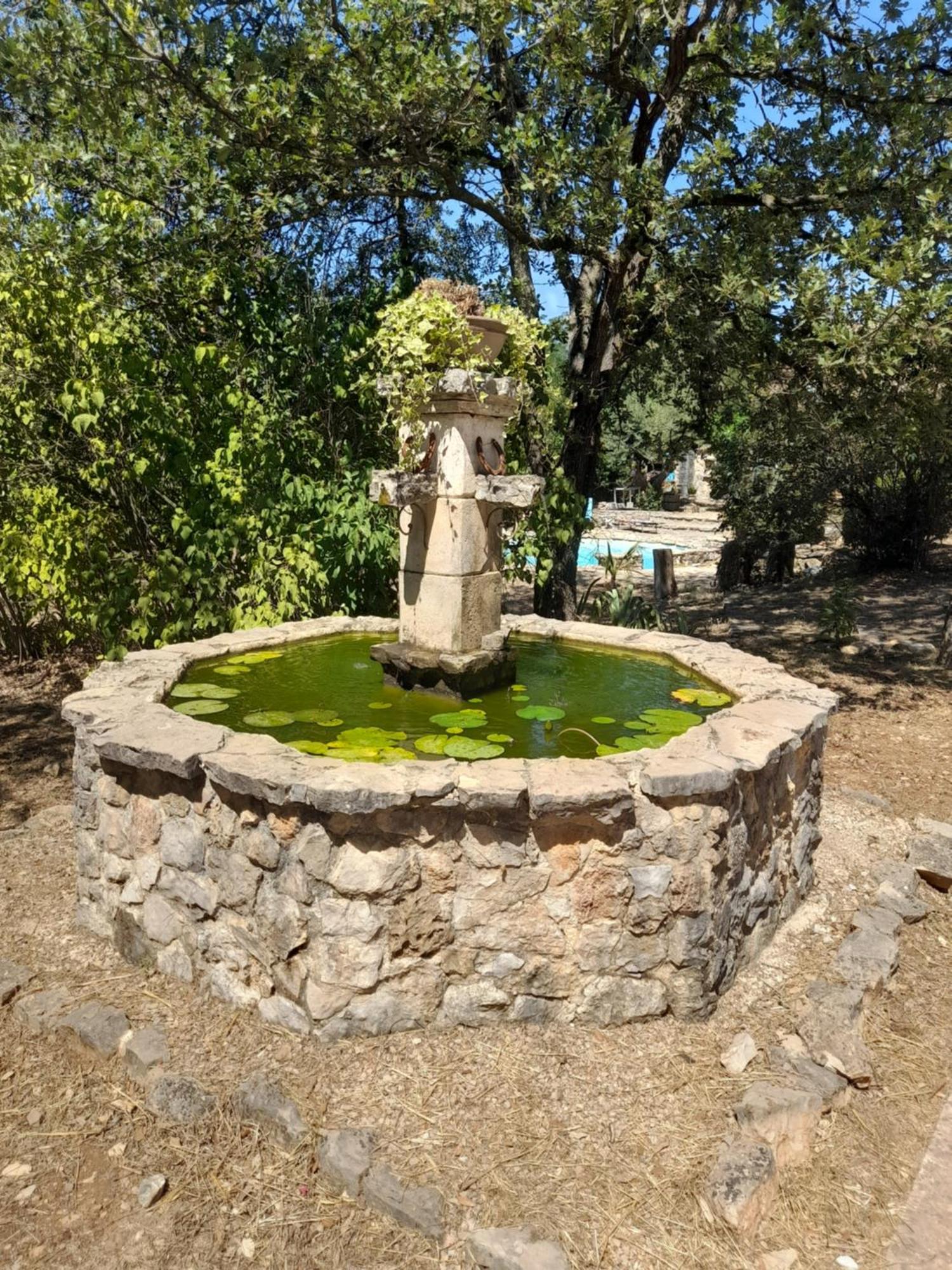 L Etrier Villa Lorgues Exterior foto